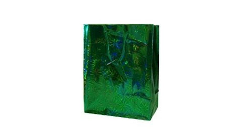 18in x 13in x 4in Green Hologram Shopping Bag {st 