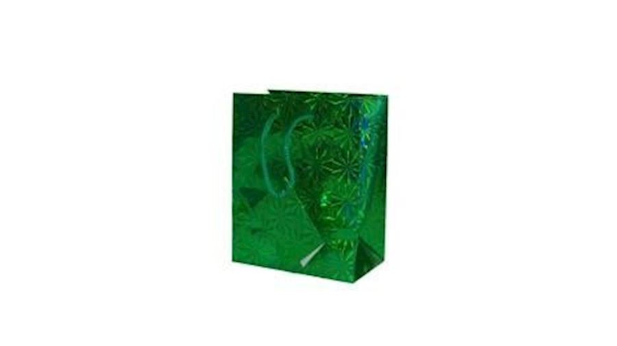 9in x 7in x 4in Green Hologram Shopping Bag {st pa