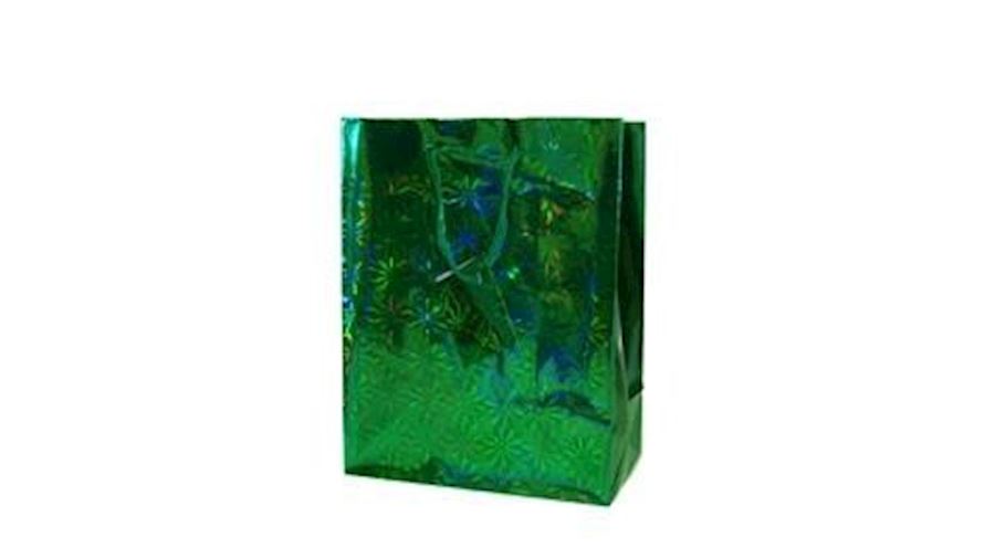 15in x 11in x 4in Green Hologram Shopping Bags {st