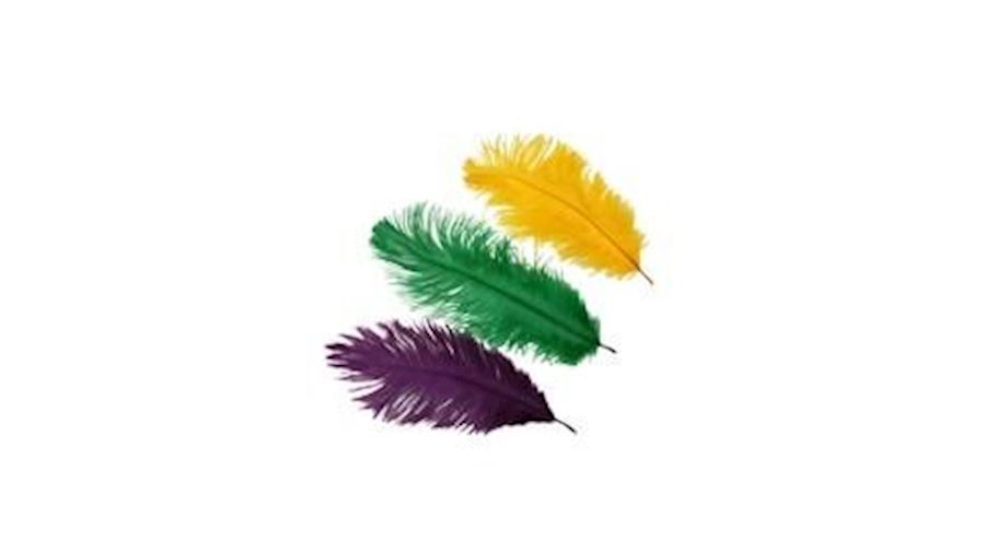 5-7in Purple Green Yellow  Ostrich  Plumes/ Feathe