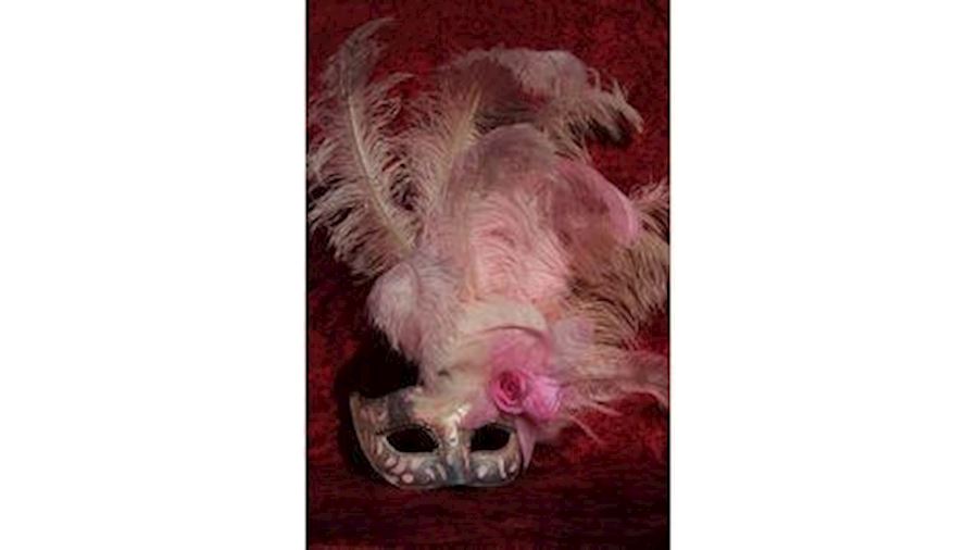 Venetian Masks: Light Pink Mask with Ostrich and C