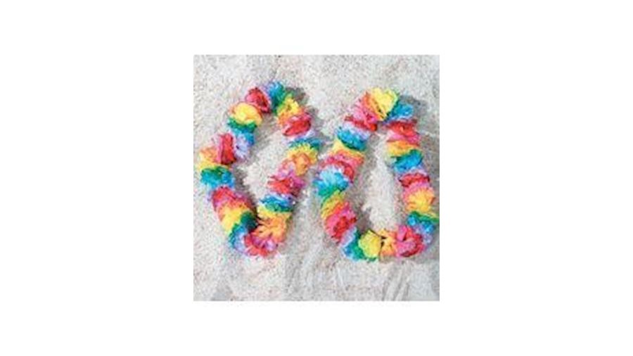 36in Polyester Rainbow Carnation Leis-EA