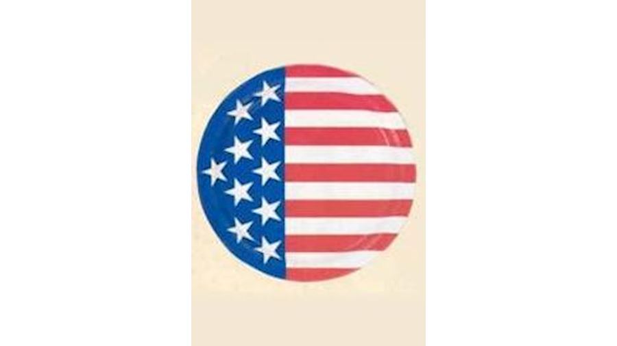 10.5in USA Flag Paper Plates