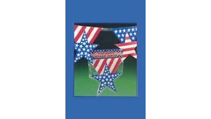 8ft x8in Red/ White/ Blue American Flag Star Penna