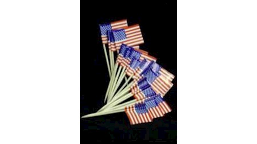 2.5in Red/ White/ Blue American Flag Toothpicks{US