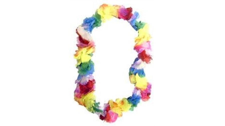 20in x 2.5in Rainbow Carnation Lei-BG